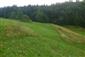 Nížinné a podhorské kosné lúky (29.8.2014)